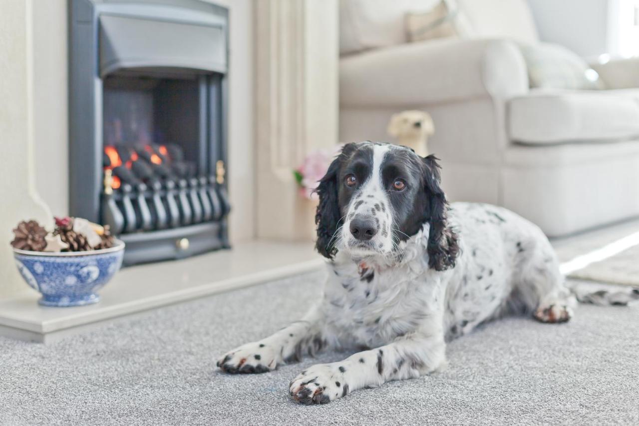 Kents Bank - Pet Friendly With Bay Views Holiday home *