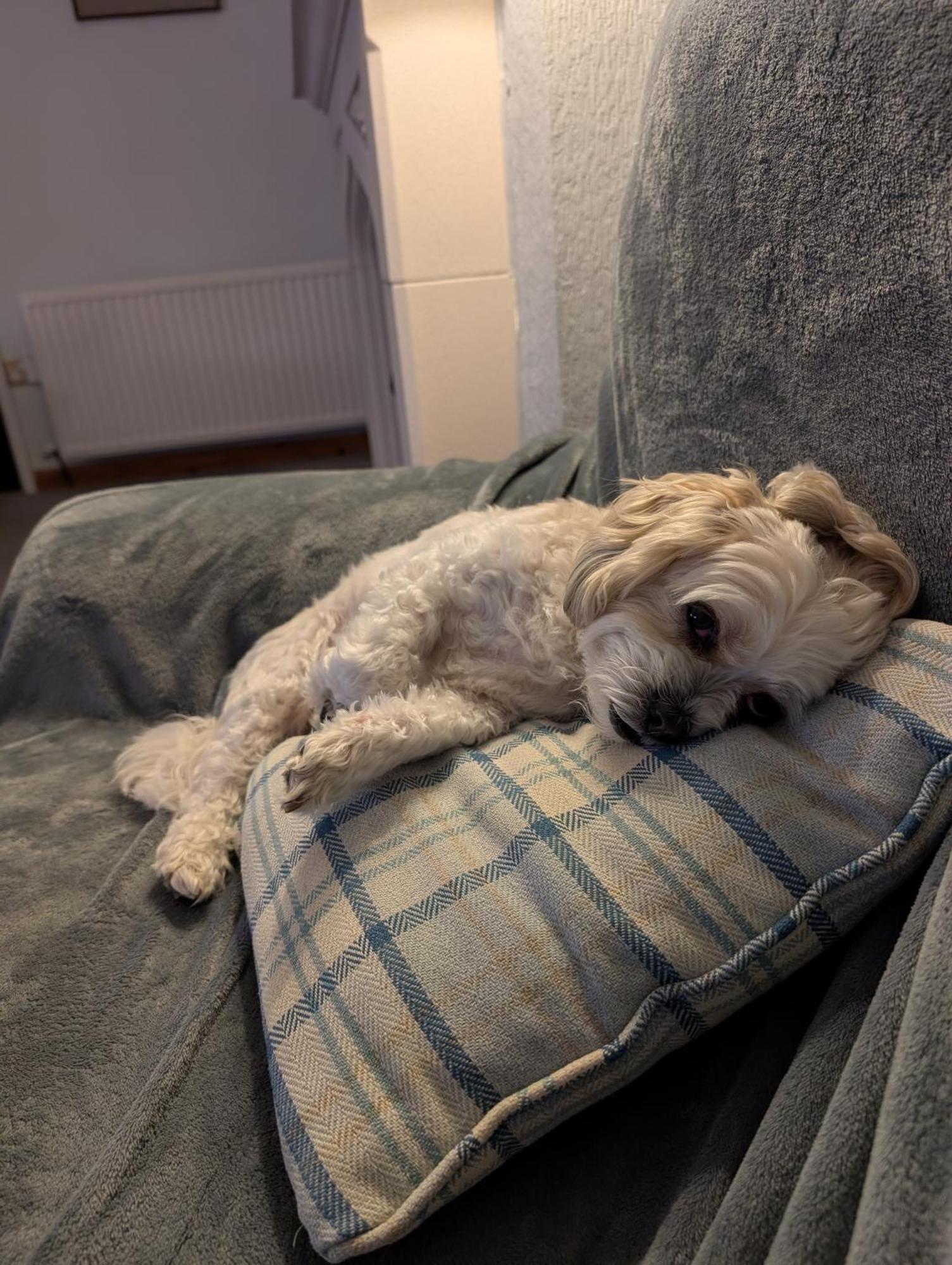 Kents Bank - Pet Friendly With Bay Views *