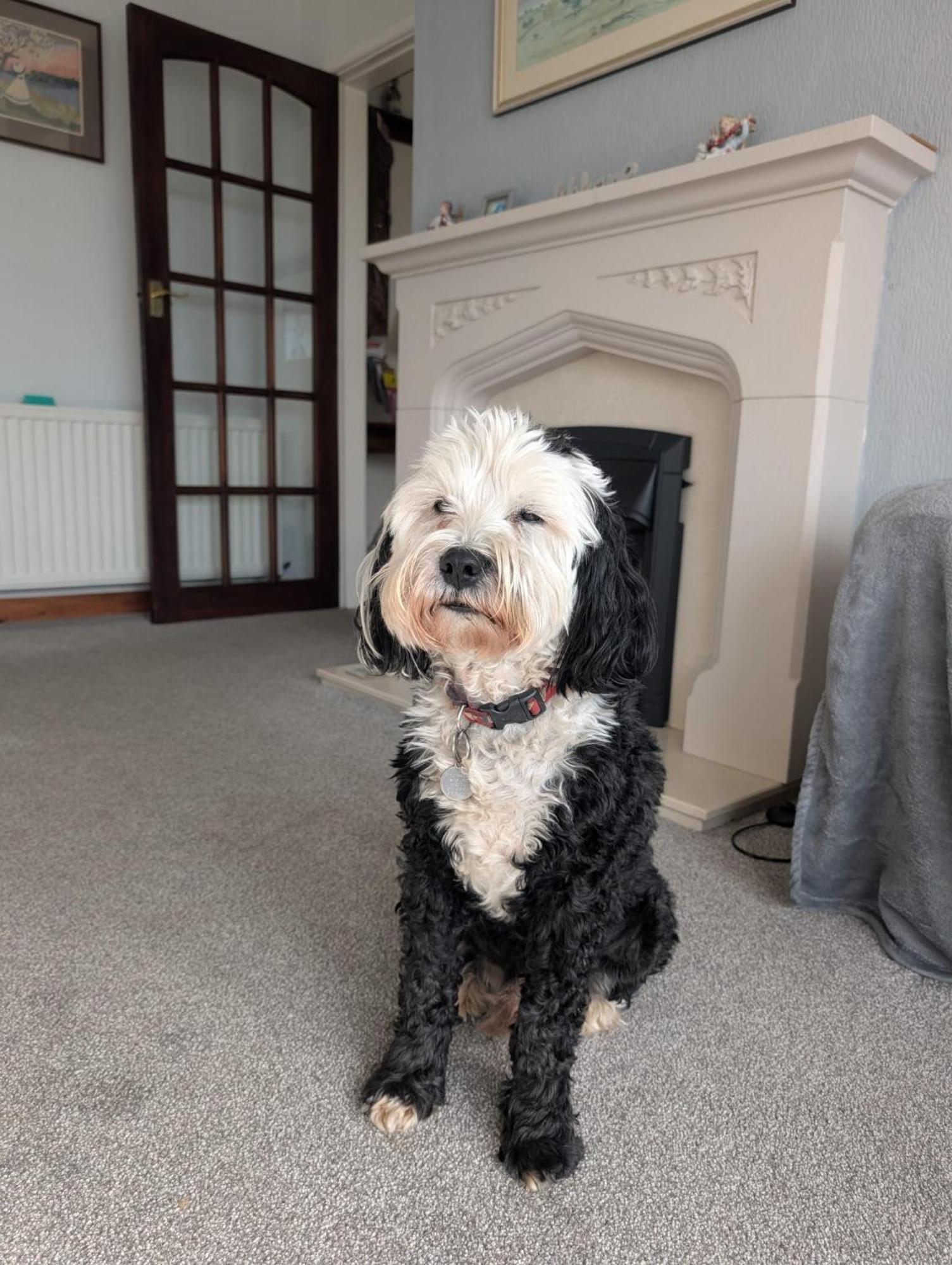 Kents Bank - Pet Friendly With Bay Views Holiday home *